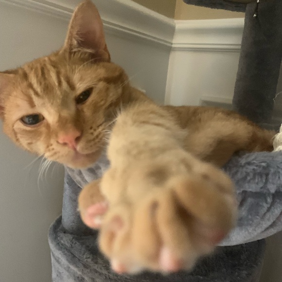 sunnybabybub
